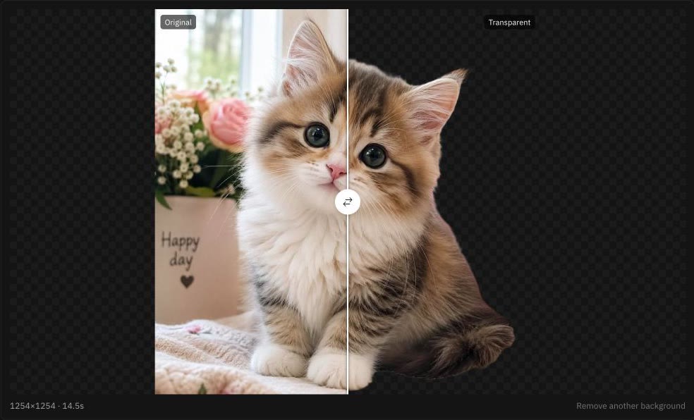 Kitten before and after: roses and a blanket behind it on the left, the kitten with whiskers and soft fur edges on the right